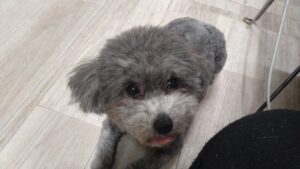 夜のお時間　2026/4/8