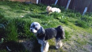 夜のお時間　2026/4/9