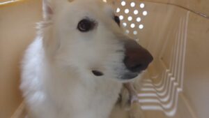 午前のお時間　2026/4/10