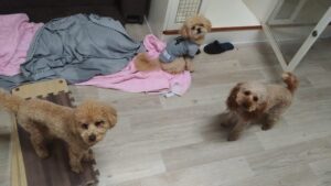 夜のお時間　2026/4/10