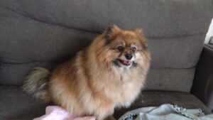 午前のお時間　2026/4/11