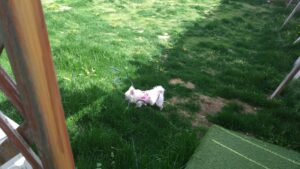 朝のお時間　2026/4/13