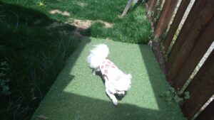 朝のお時間　2026/4/14