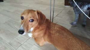 朝のお時間　2026/4/15