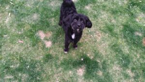 夜のお時間　2026/4/15