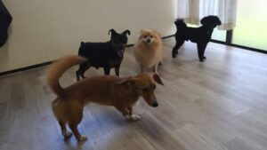 午前のお時間　2026/4/16