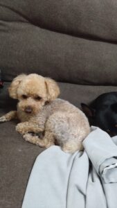 夜のお時間　2026/4/16