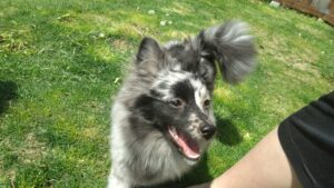 朝のお時間　2026/4/17